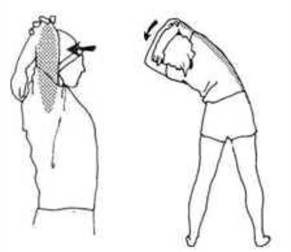 Alongamento de Flexão Lateral (Side Bend Stretch)