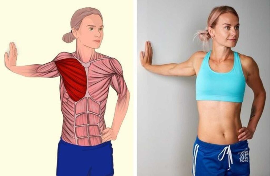 Alongamento do Peito e Ombros (Chest and Shoulder Stretch)